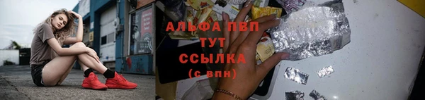МДПВ Вяземский