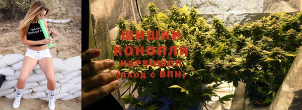spice Володарск