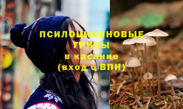 прущая мука Вязники