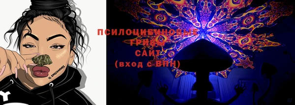 spice Володарск